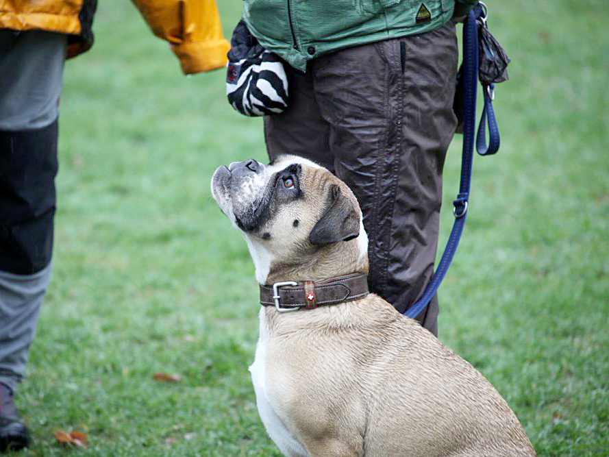 Wiederholungskurs Brevet-Instruktoren 22. März 2014