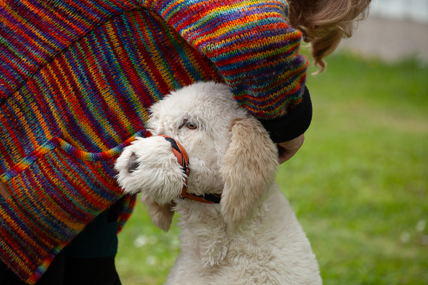 Aargauer Brevet & NHB