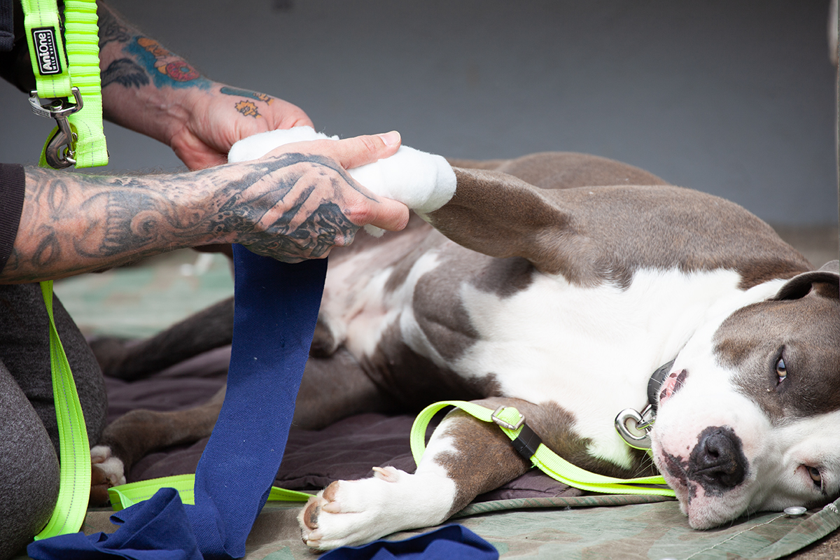 KVAK Halteberechtigung