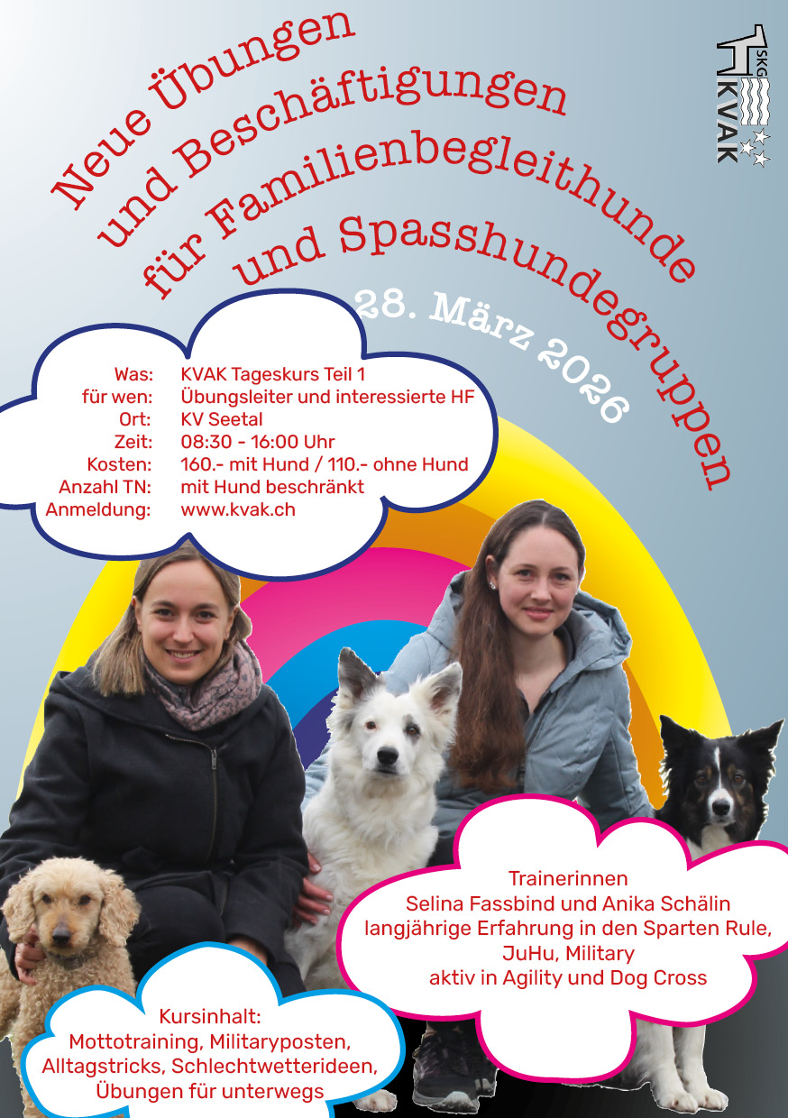 Neue Übungen für Familienbegleithunde- und Spasshundegruppen (Tagesseminar)