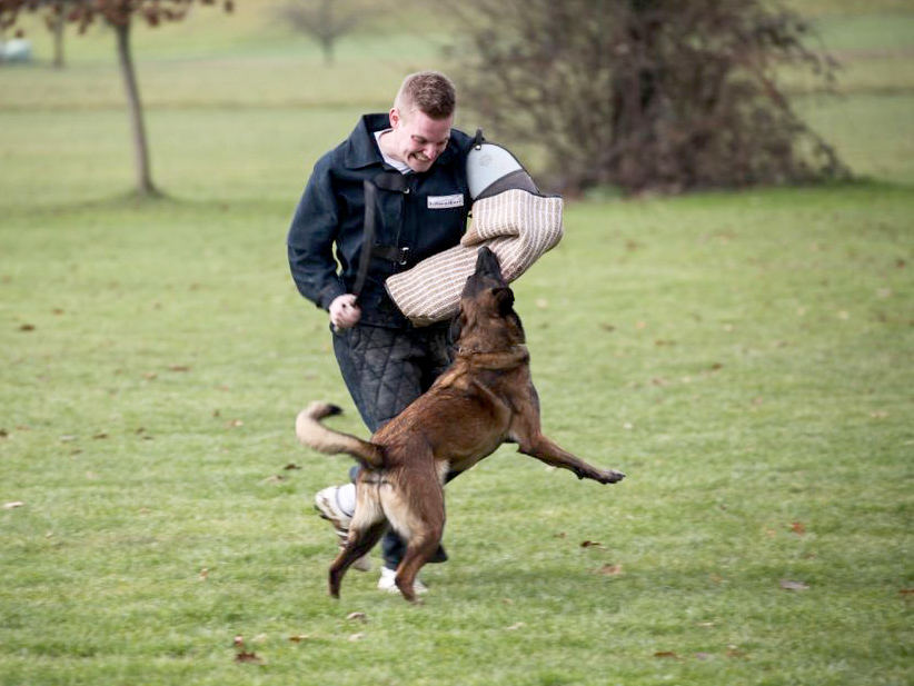 Aargauer Meisterschaft 2013 vom 29. und 30. Dezember 2013