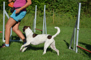 Kynologischer Verein Menzo-Team