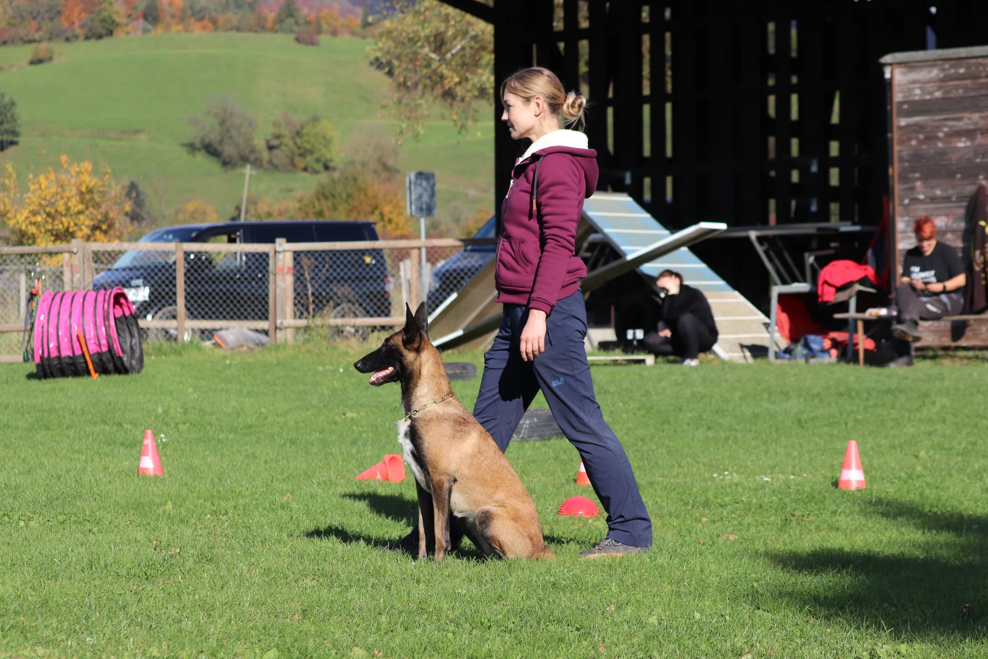Hundesport Tägerhard