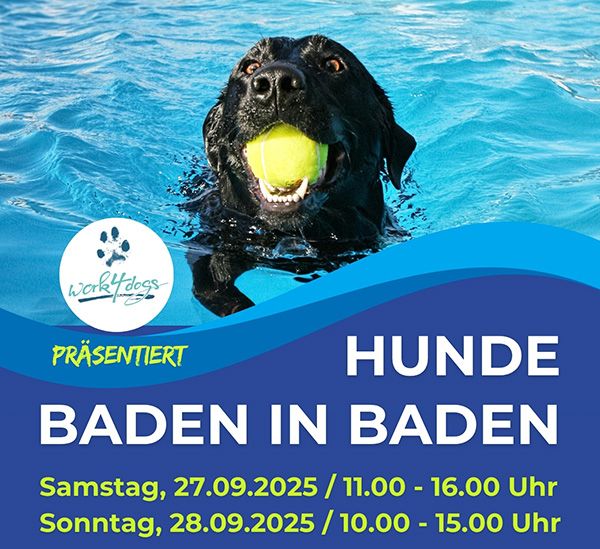 KVBB_Hundeschwimmen2025_klein_heade_20250905-095020_1